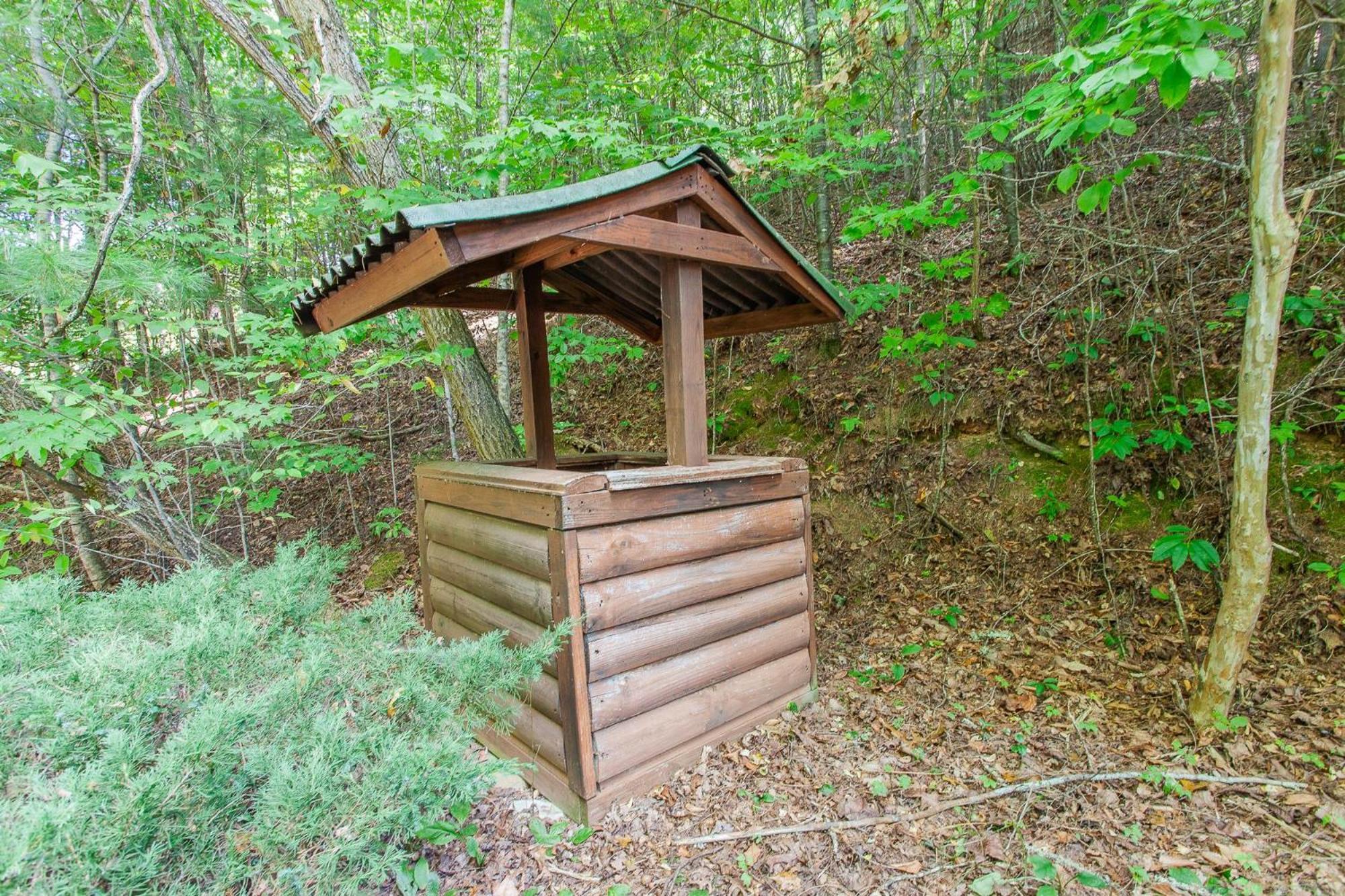 Firefly Way Villa Bryson City Exterior photo